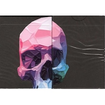 Bicycle Memento Mori Nxsoyun Kağıdı Limited Edition Koleksiyonluk İskambil Kartları Destesi