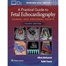 A Practical Guide To Fetal Echocardiography: Normal And Abnormal Hearts