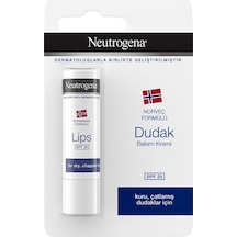 Neutrogena Onarıcı Bakım Dudak Kremi Norveç