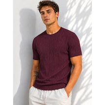 Ribana Erkek Bisiklet Yaka Kısa Kollu Esnek Örme Triko T-shirt 26091 Mürdüm
