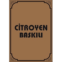 Cihan Oto Cıtroen Amblem Baskılı Paspas Kağıdı 100 Adet 35x50