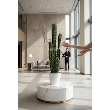 Yapay Kaktüs Ağacı Sütun Kaktüsü Cereus Peruvianus - Beyaz Saksıda Yapay Bitki 70 20cm Yeşil