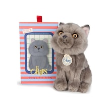 Bon Ton Toys B.t. Chaps Freddy The British Shorthair Kutulu Peluş Oyuncak 17 Cm - 7'' 32179007 Gri