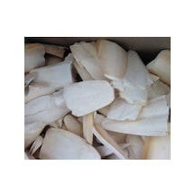 Purecanpati Kırıklı Iri Boy Kalamar Kemiği 100 G