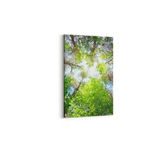 Olla 60x90 Cm 10619d Ağaç Görseli Dikey Kanvas Tablo