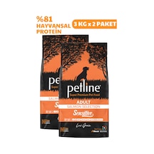 Petline Sensitive Skin & Coat Deri ve Tüy Sağlığı İçin Somonlu Yetişkin Kuru Köpek Maması 2 x 3 KG