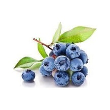 10 Adet Yaban Mersini Tohumu Blueberry Tohumu