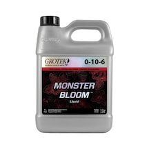 1 L