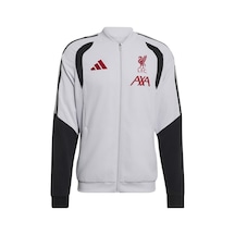 Adidas Erkek Ceket Lfc Pre Jkt Kb5770 Gri