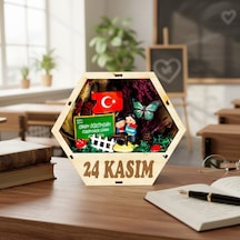 Altıgen Saksı Teraryum - Öğretmenler Günü Hediyesi Çok Renkli