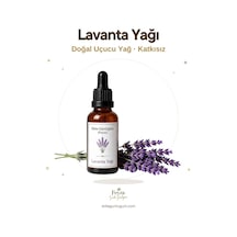 Sirke Günlüğüm Lavanta Yağı Diğer