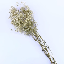 Tr Kuru Çiçek Doğal Kurutulmuş Çiçek Doğal Cipso 40 Cm 20 Gr Natural Genel