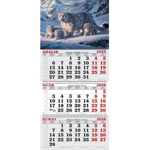 2026 Yılı Gemici Takvimi- Kar Leoparı Ve Yavruları