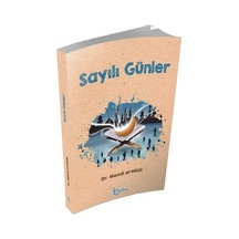 Sayılı Günler