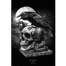 Maxi Poster Alchemy Poe's Raven