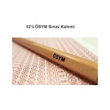 2,5b Dereceli Ösym Kurşun Kalemi 12"li Çok Renkli2