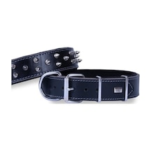 Doggie Çift Kat Deri Güçlü Çivili Boyun Tasma Siyah 4x57-65 CM Siyah