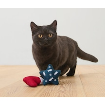 Kedi Oyuncağı, 2'li Set