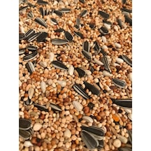 Vivid Pareket Yemi 1 KG