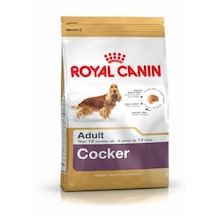 Royal Canin Cocker Spaniel Yetişkin Köpek Maması 3 KG