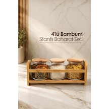 Bambum Bench Plus 4 Parça Standlı Baharat Takımı 1080 Ml Çok Renkli