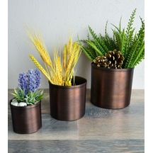 Shark Anatolia Bahar Saksı 3'lü Takım