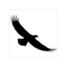 Kartal Folyo Sticker Derstv749 130cm Uzunluk Siyah