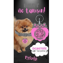 Petjoo 13.Bert Pembe-Gri Qr'lı Köpek Künyesi