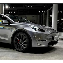 Tesla Model 3 Quicksilver Civa Grisi Profesyonel Rötuş Boyası 30ml, Pr00flea Tek Renk