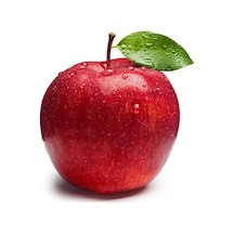6 Adet Aşılı Kırmızı Elma Red Chief Fidanı 3 Yaş