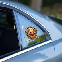 Mey İthalat Fulcar Golden Araç Stickerı