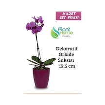 Dekoratif Vişne Orkide Saksısı - 4 Adet Set  - 12 Pot Üretim Saksısına Uygun
