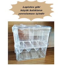 Çok Fonksiyonlu Çift Bölmeli Akvaryum Balık Yavruluğu Akvaryum Yavruluk 13.5 x 7.5 x 14 CM