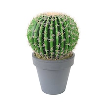 Yapay Altın Fıçı Barrel Kaktüs 55 Cm-2193
