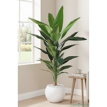 Yapay Çiçek Sitesi Plastik Küre Saksıda Yapay Starliçe Bitkisi 87 Cm Yeşil