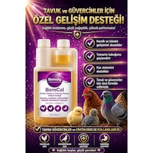 Bemoty Bemcal 125 Ml