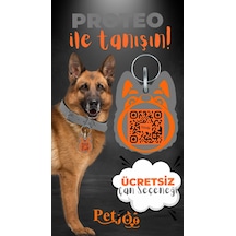 Petjoo 24.Proteo Turuncu-Gri Qr'lı Köpek Künyesi