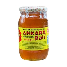 Atatürk Orman Çiftliği Ankara Süzme Çiçek Balı 480 G