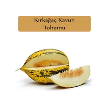 Kırkağaç Kavun Tohumu 1 Paket Kırk Ağaç Kavun Tohumu Kapalı Paket Yüksek Verimli Tohum Sarı Kavun