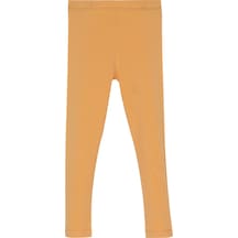 Sarı