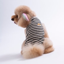Sunrise Embroline Tişört Kedi Köpek Tişörtü-kedi Köpek Kıyafeti