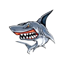 Köpekbalığı Renkli Araba Sticker 17Cm Oto Etiket
