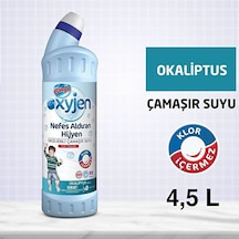 Bingo Oksijen Çamaşır Suyu 750 Ml Ekonomi Paketi 6'lı Okaliptus Diğer