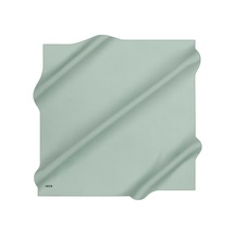 Mint Yeşili
