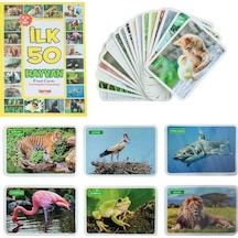 Mey İthalat 1352flashcardsilk50hayvan-dıytoy