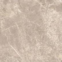 VitrA 60x60 Boscostone Vizon R10B K950383R0001VTE0