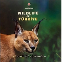 Wıldlıfe Of Türkiye - Ybve-665528