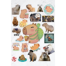 Capybara Kapibara Telefon Laptop Bullet Journal Yapışkanlı Folyo Sticker Paketi 21 Adet Çok Renkli
