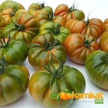 Köy Tipi Yayla Domatesi Tohumu Paket 5 GR Paket