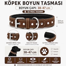 Perçin Süslemeli Deri Köpek Boyun Tasması 38-47 Cm Pedli İç Yüzey Metal Tokalı - Kahverengi Çok Renkli